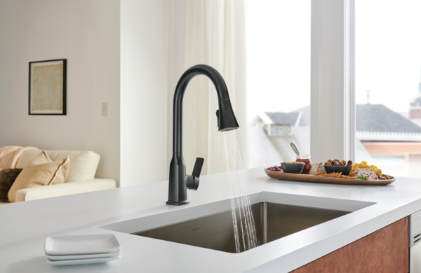 P7971LF-BL - Single-Handle Pull-down Kitchen Faucet