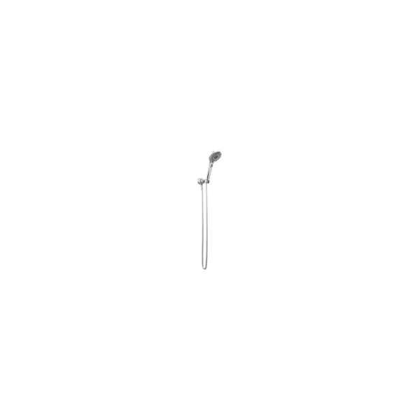 P60219 - Wall Mount Handshower - ADA