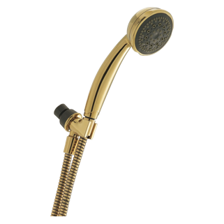 76513PB - 5-Setting Hand Shower